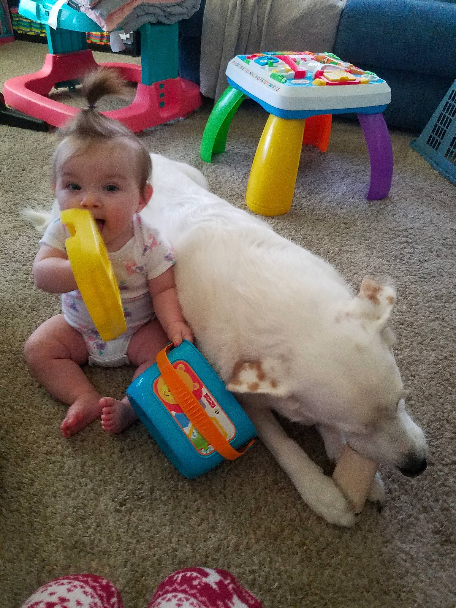 Beatrix joined the competition — help win amazing prizes! baby, canidae, child, fawn, fun, person, play, sporting_group, toddler