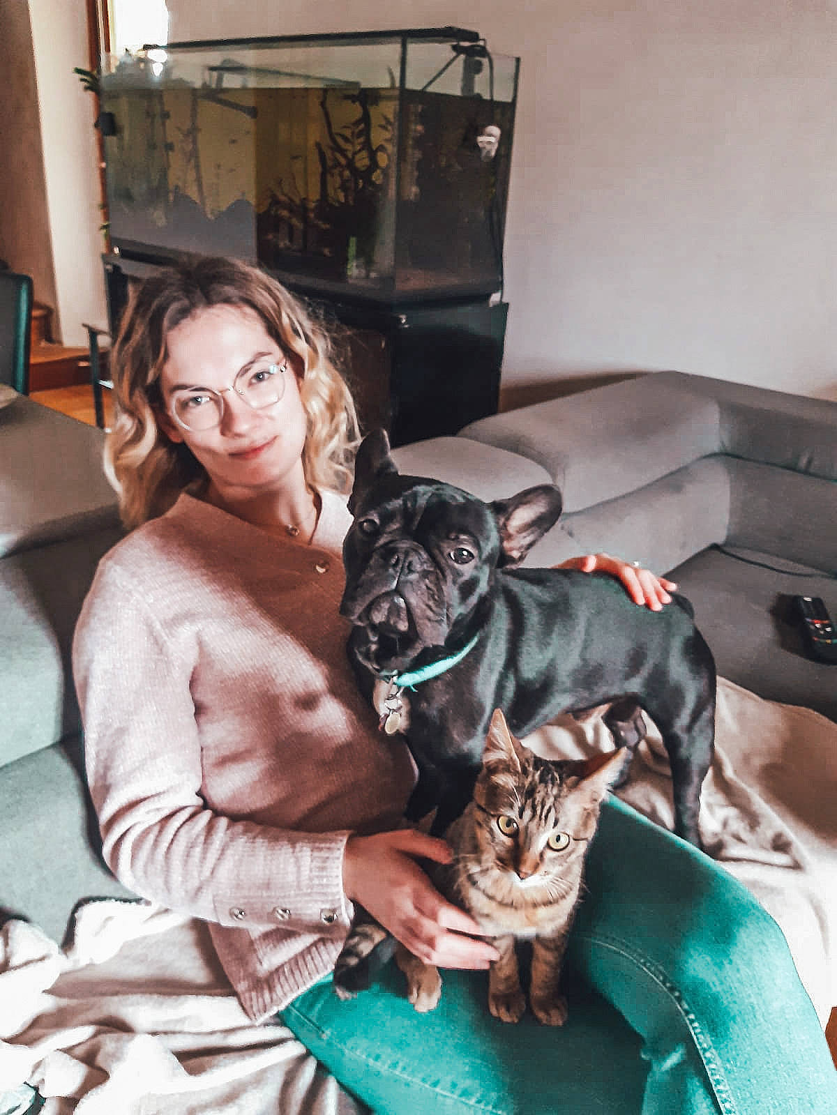Radko participe au concours pour gagner de l'argent avec cette photo : canidae, carnivore, comfort, companion_dog, couch, dog, dog_breed, eyewear, fashion_design, fawn, felidae, fur, living_room, picture_frame, sitting, small_to_medium_sized_cats, snout, sporting_group, toy_dog, whiskers