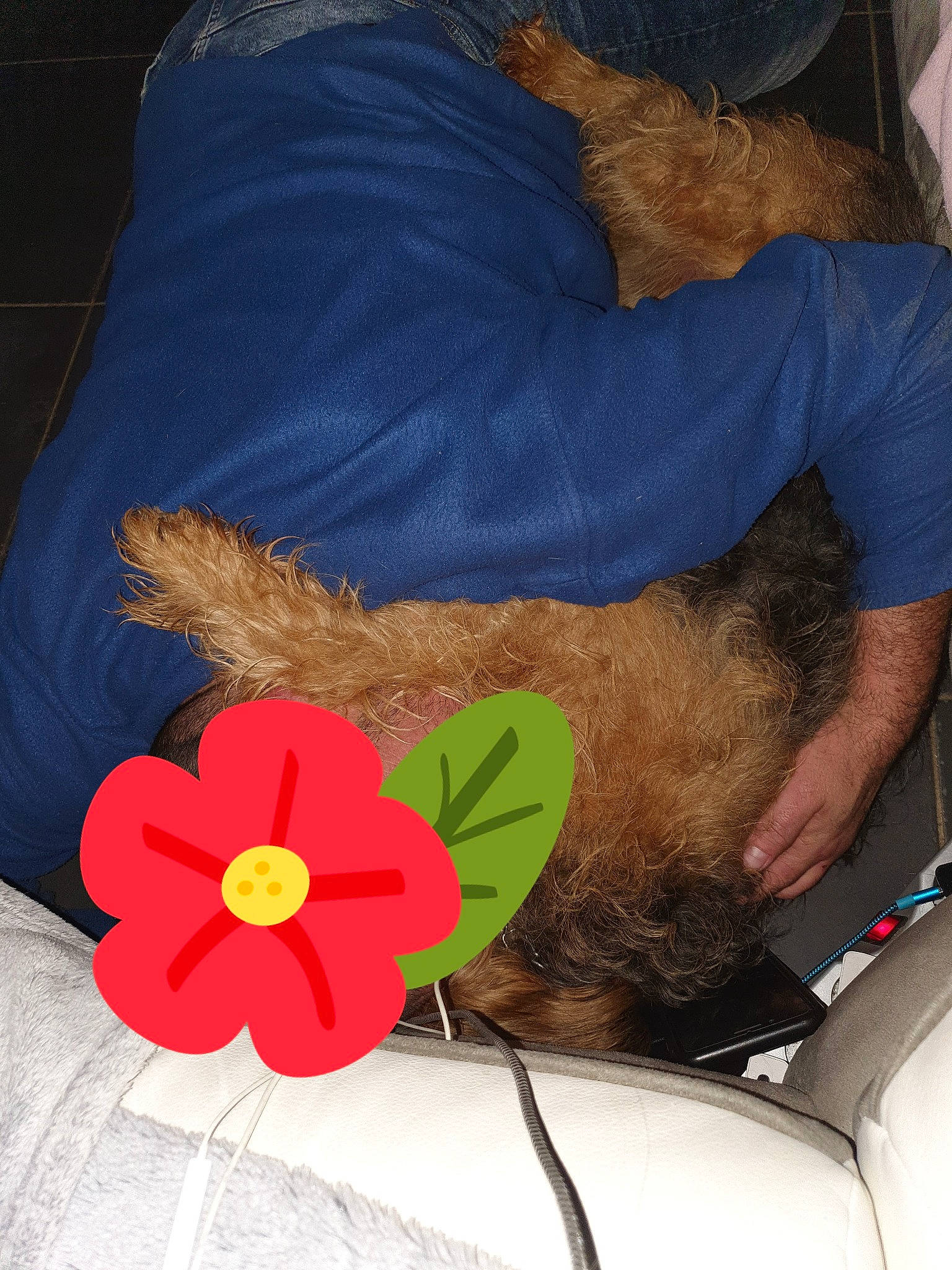 Falco participe au concours pour gagner de l'argent avec cette photo : ear, flower, hair, neck, plant