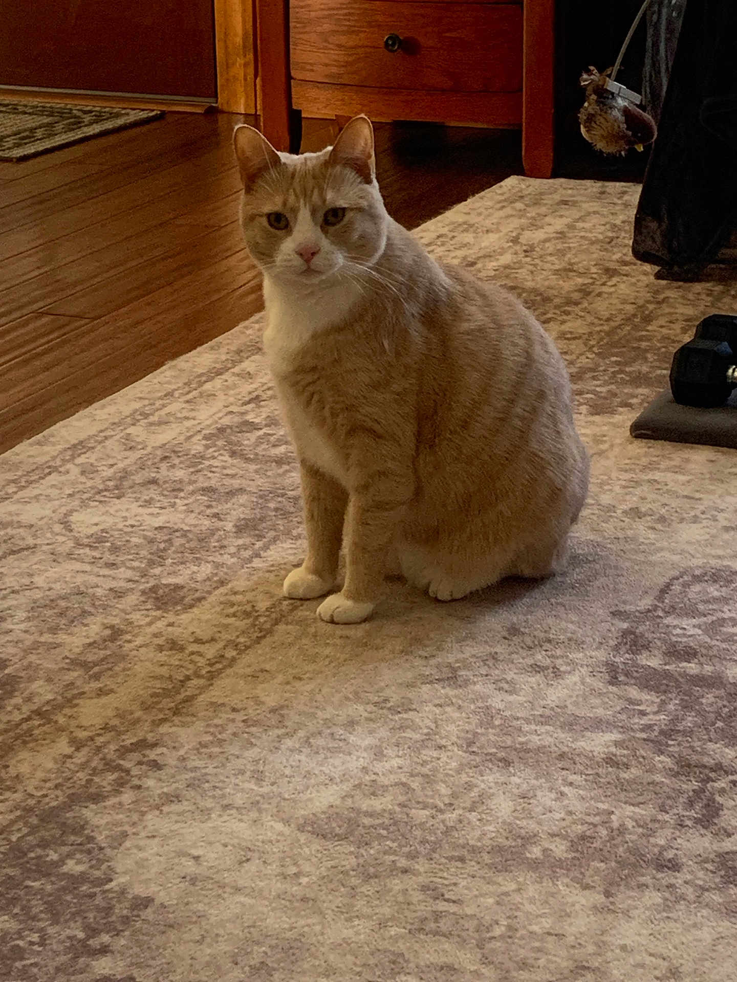 William