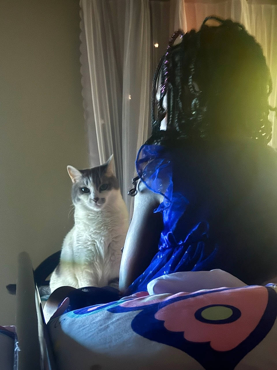 Princess Snow White joined the competition — help win amazing prizes! carnivore, cat, comfort, curtain, darkness, electric_blue, fashion_design, felidae, flash_photography, formal_wear, fur, human_leg, purple, room, shoulder, sitting, small_to_medium_sized_cats, tail, whiskers, window_treatment