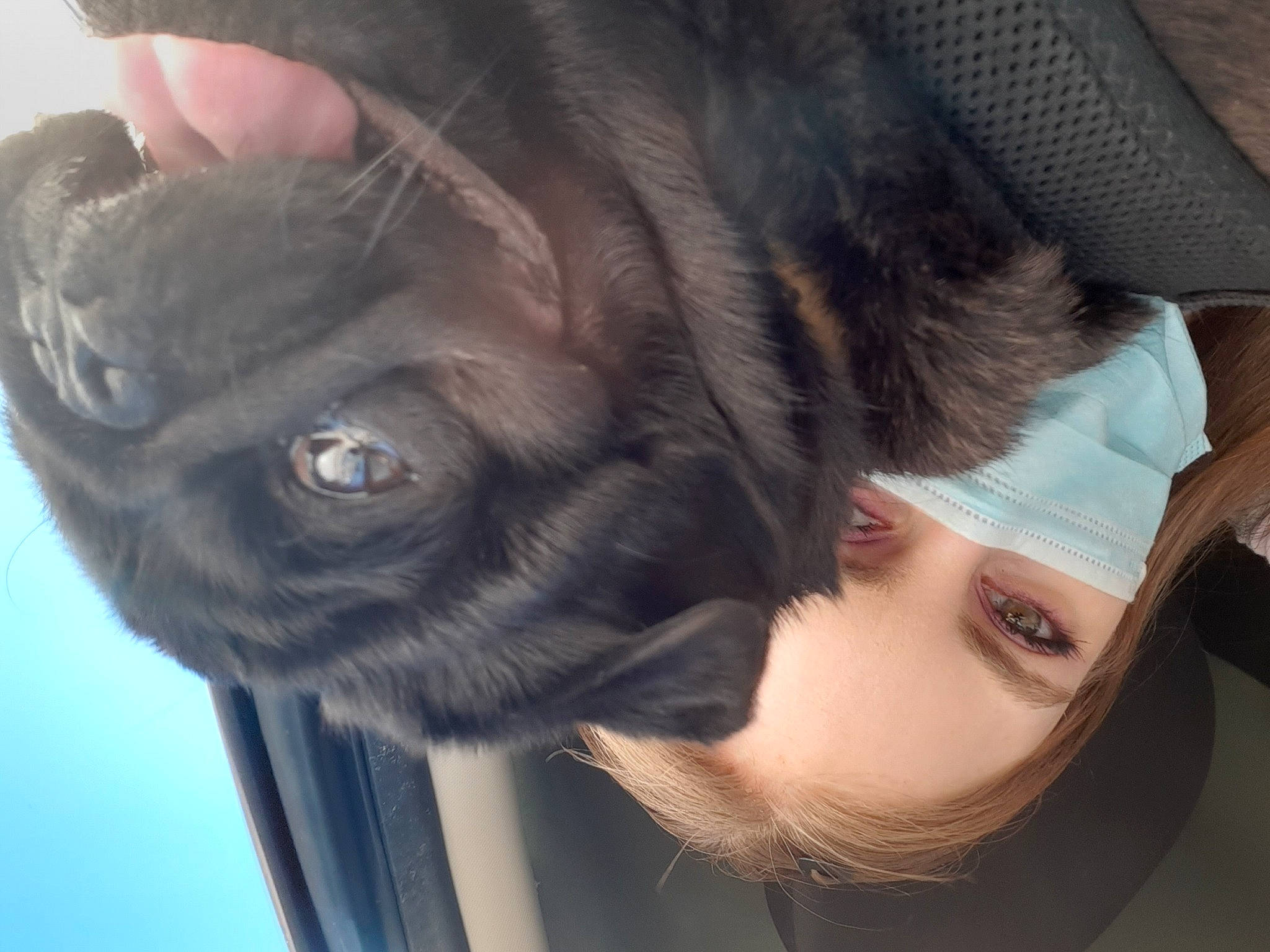 Puccini a rejoint le concours — aidez-le/la à gagner de superbes lots ! bangs, black_hair, carnivore, cat, companion_dog, dog_breed, ear, eyelash, eyewear, fawn, felidae, gesture, jaw, nose, plant, selfie, skin, small_to_medium_sized_cats, snout, whiskers