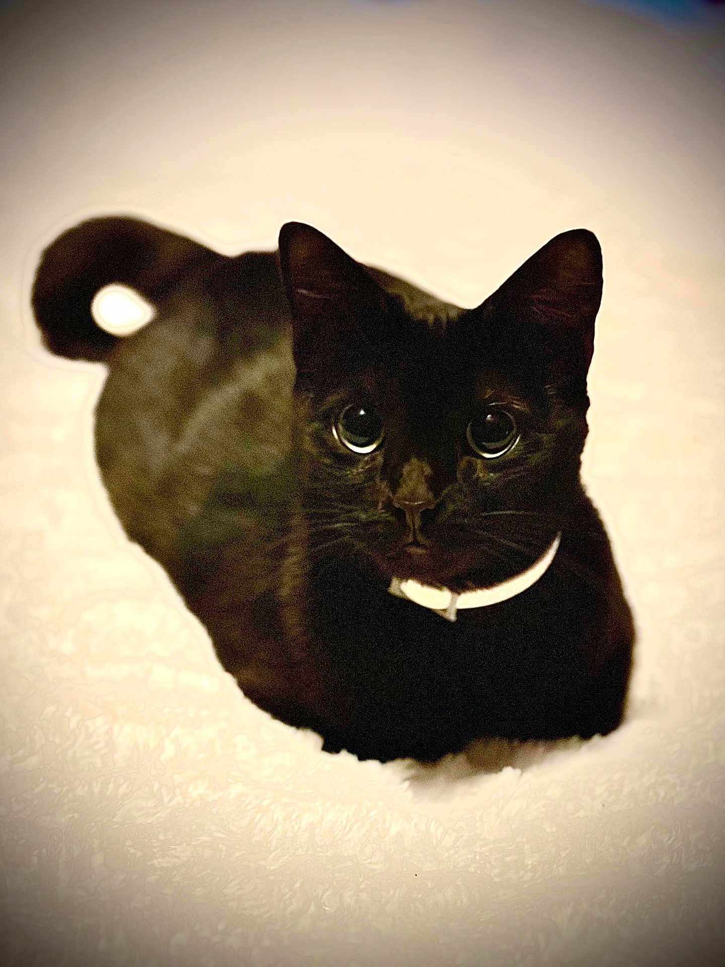 Gabby