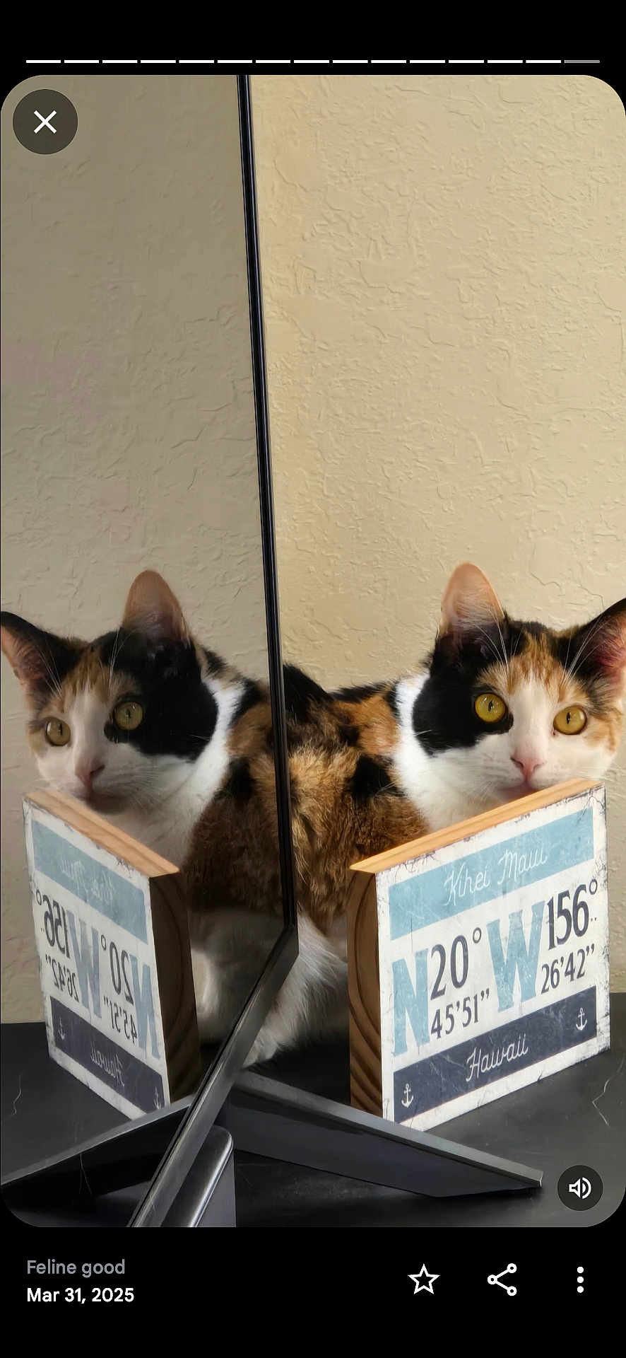 Zoey