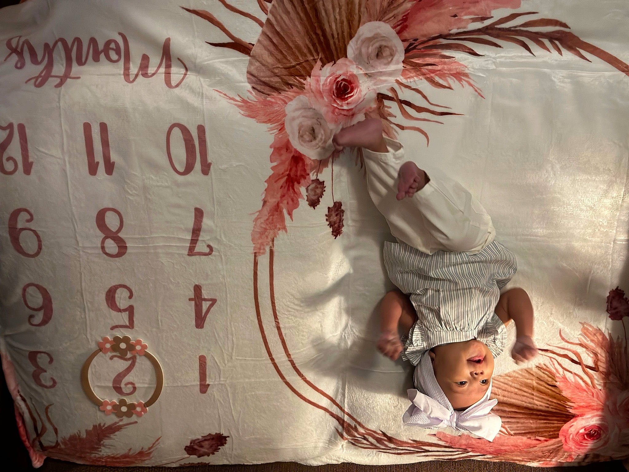 Halo is registered to the contest to win money with this photo: baby, costume_hat, event, fashion_accessory, feather, fictional_character, font, headpiece, headwear, home_accessories, linens, magenta, paper, pattern, peach, person, petal, picture_frame, pink, room