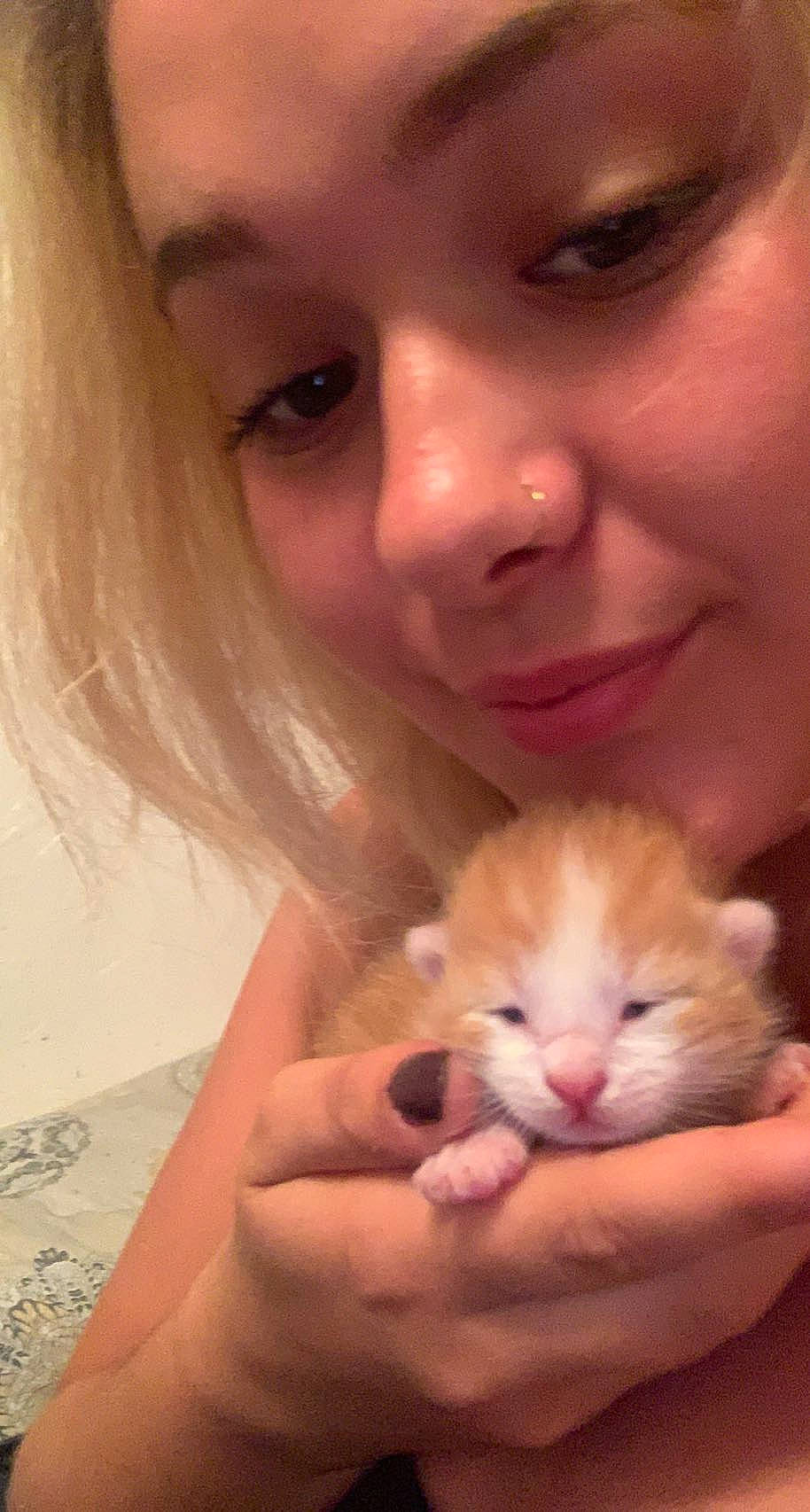 Kush is registered to the contest to win money with this photo: carnivore, cat, cheek, companion_dog, ear, eyelash, facial_expression, fawn, felidae, finger, gesture, hand, iris, mouth, nose, organ, skin, small_to_medium_sized_cats, smile, whiskers