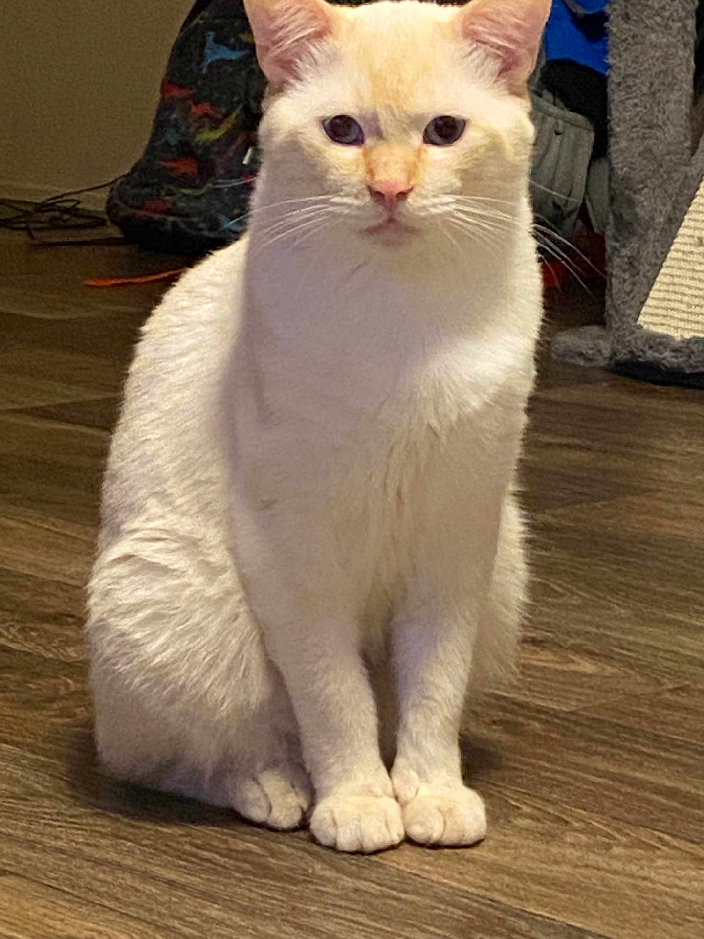 Binx