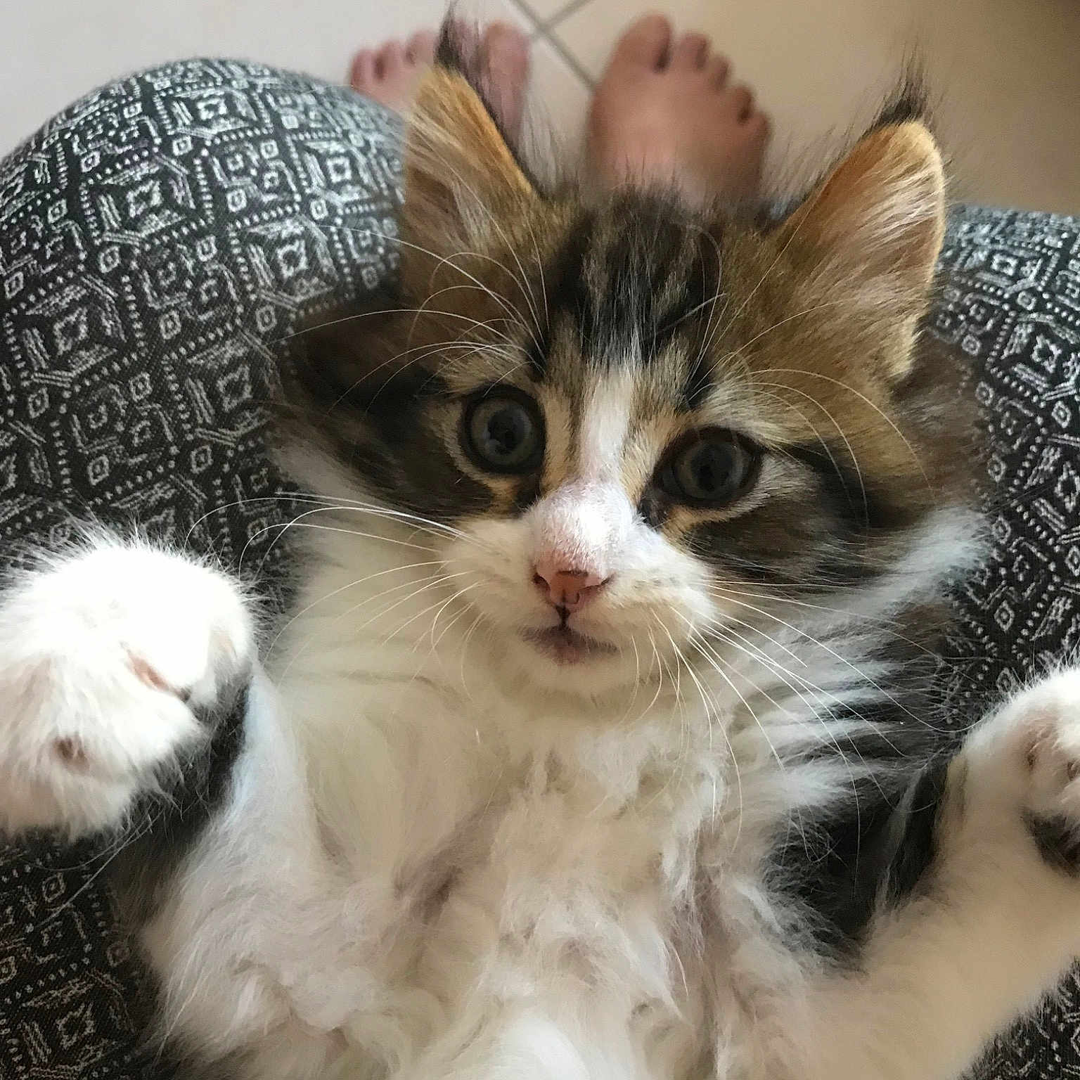 Pocket
