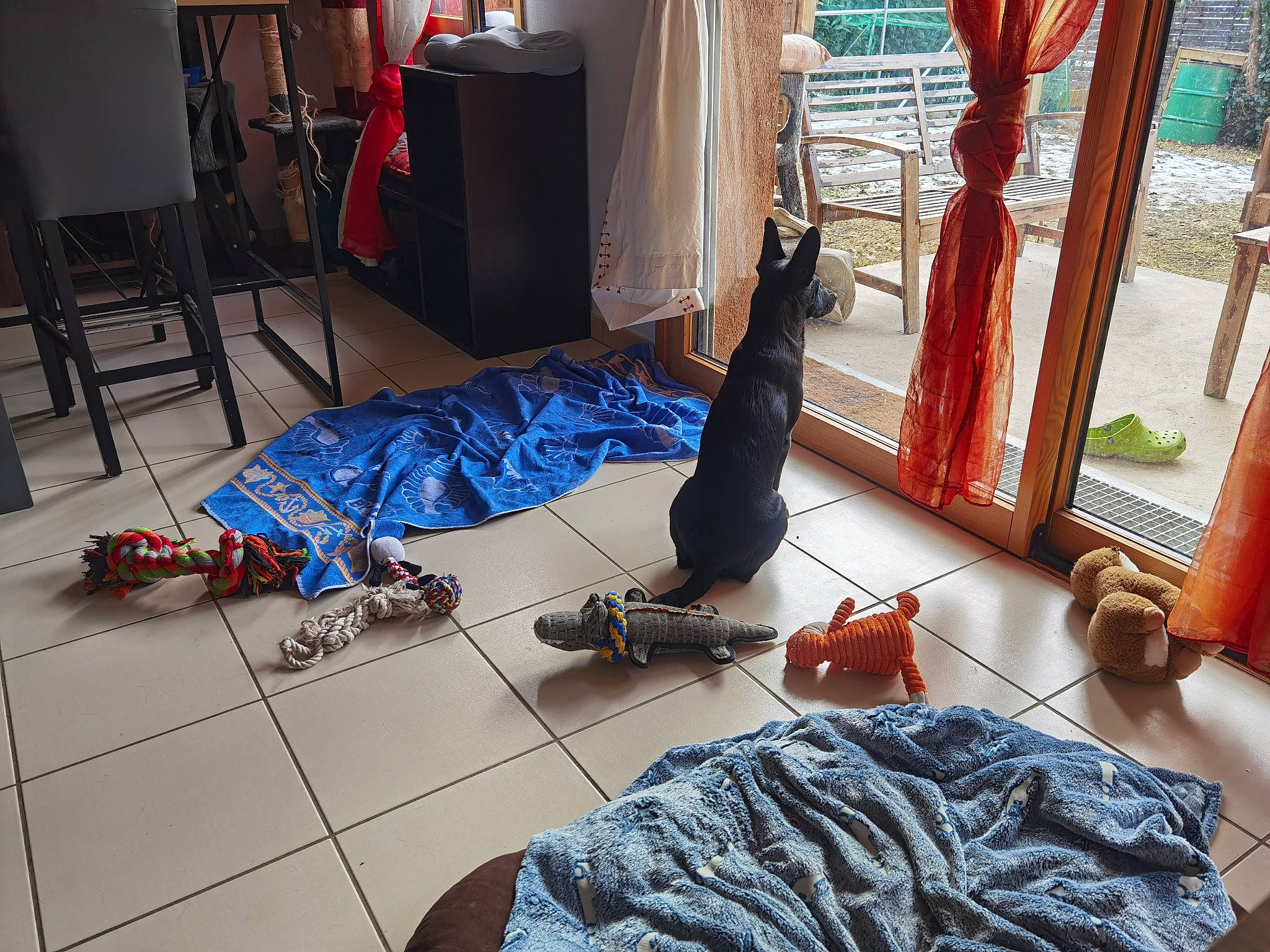 Môssieur Artichaut a rejoint le concours — aidez-le/la à gagner de superbes lots ! bag, carpet, chair, comfort, curtain, electric_blue, floor, flooring, hardwood, human_leg, laminate_flooring, living_room, luggage_and_bags, musical_instrument, purple, room, sneakers, textile, wood, wood_flooring