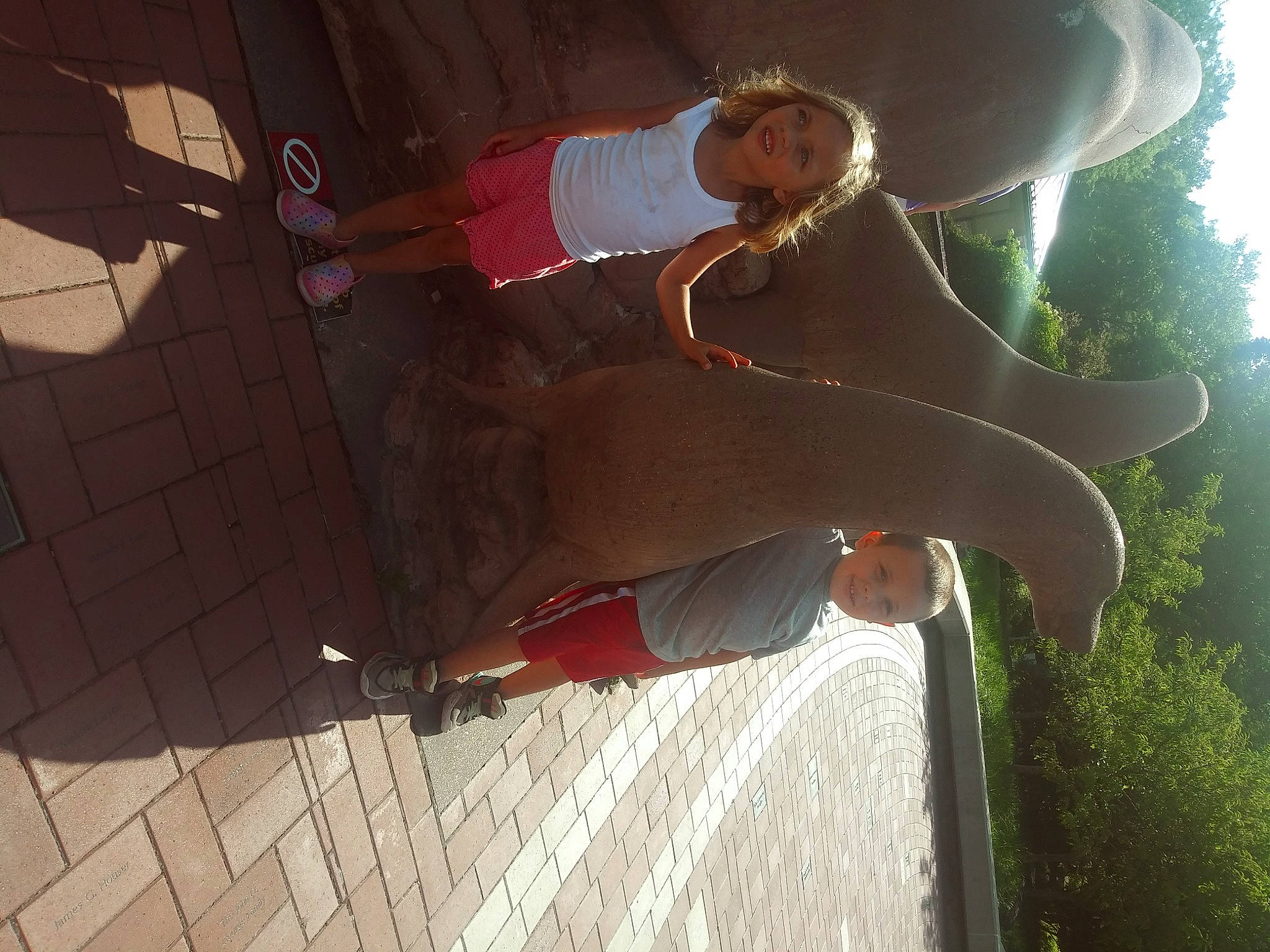 Kamden joined the competition — help win amazing prizes! elbow, flooring, fun, grass, hat, joy, leisure, lens_flare, person, plant, shade, shadow, sky, tints_and_shades, tree, walking_shoe, wood