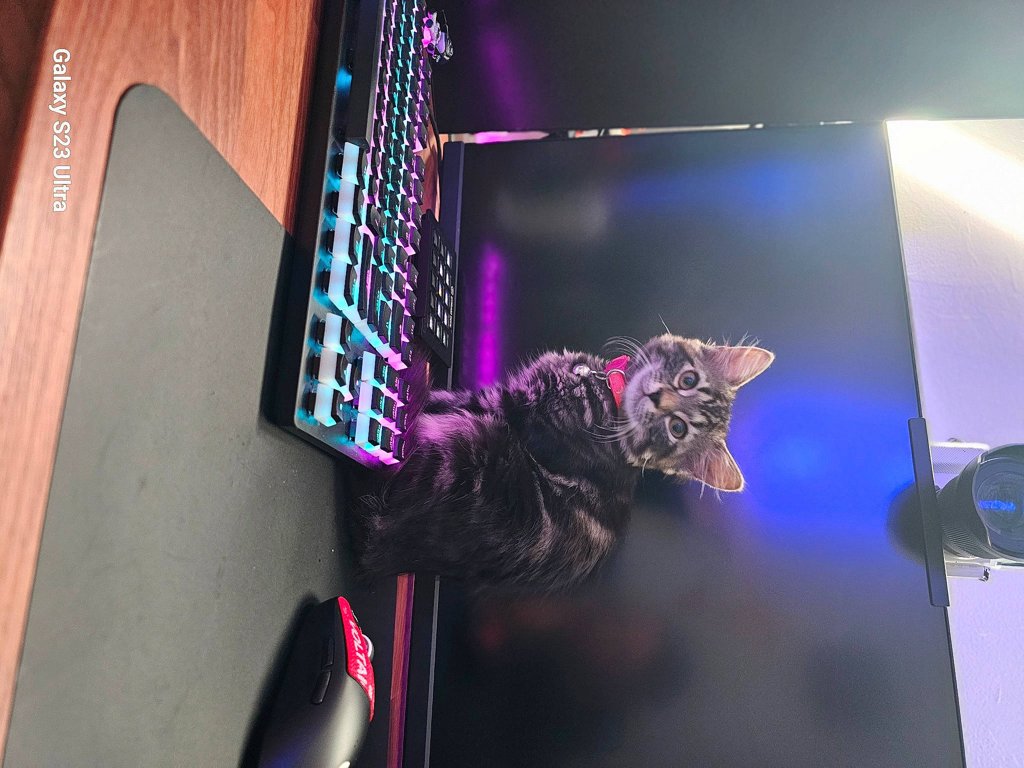 Lola is registered to the contest to win money with this photo: audio_equipment, carmine, darkness, display_device, entertainment, event, fun, machine, magenta, music, music_artist, performance, performance_art, performing_arts, purple, room, space, tree, visual_arts, visual_effect_lighting