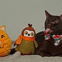 abyssinian, animal, blackcat, blanket, canine, cat, couch, dog, egyptiancat, food, furniture, hound, kitten, manx, pet, plant, plush, produce, sweets, toy