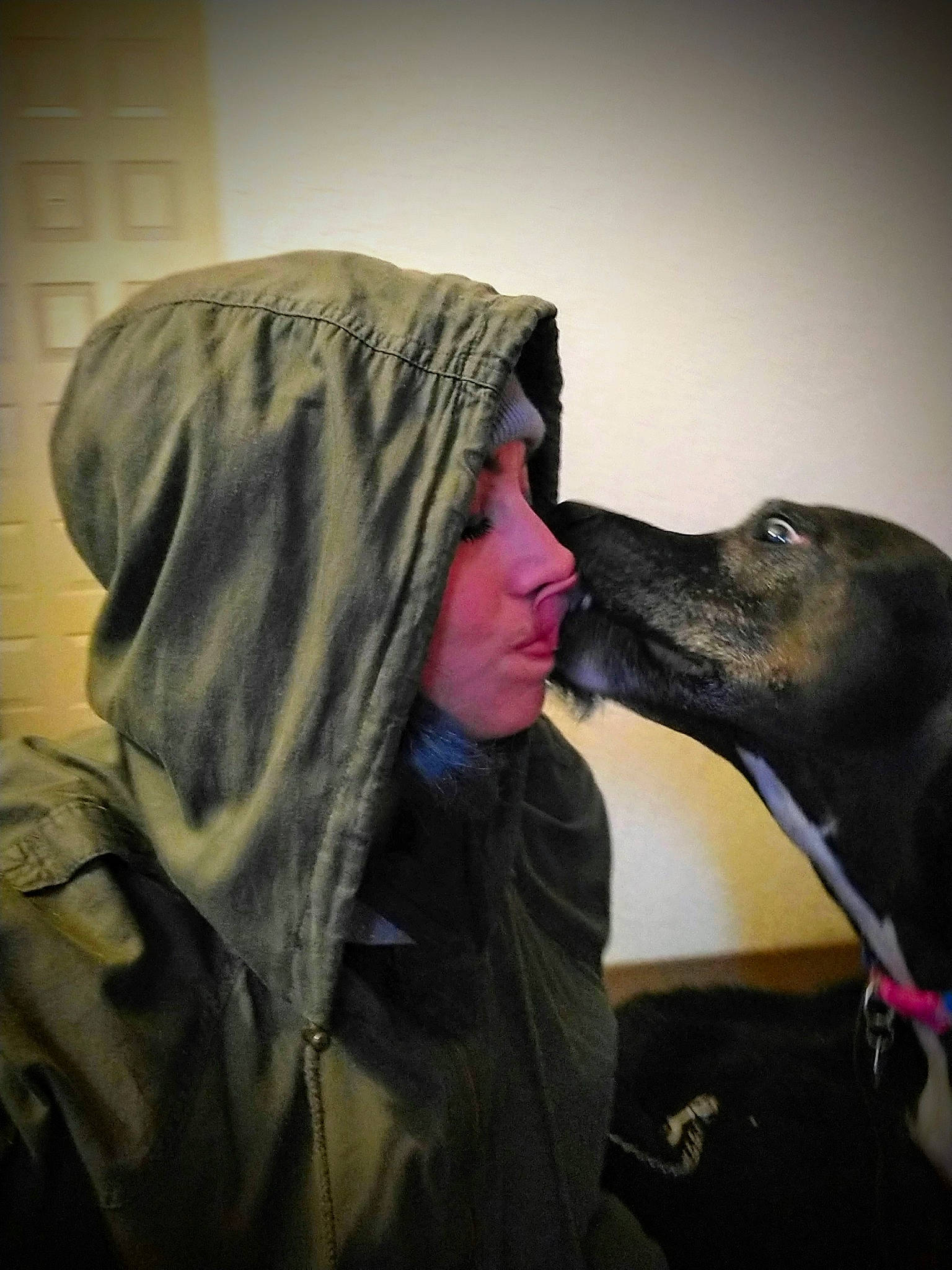 Ciara is registered to the contest to win money with this photo: canidae, carnivore, comfort, companion_dog, dog, dog_breed, fashion_accessory, flash_photography, fun, fur, guard_dog, hoodie, jacket, kiss, personal_protective_equipment, rampur_greyhound, sitting, sporting_group