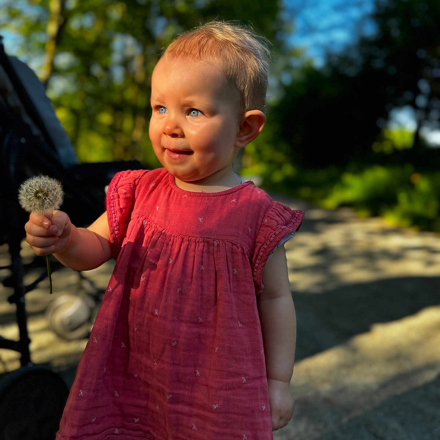 Athaïs participe au concours pour gagner de l'argent avec cette photo : baby, bodypart, clothing, dress, eveningdress, face, finger, flower, flowerarrangement, flowerbouquet, formalwear, grass, hand, happy, head, person, photography, plant, portrait, smile
