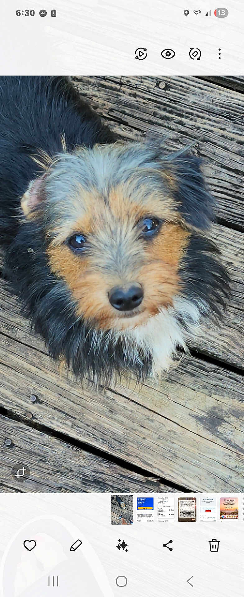 Hank