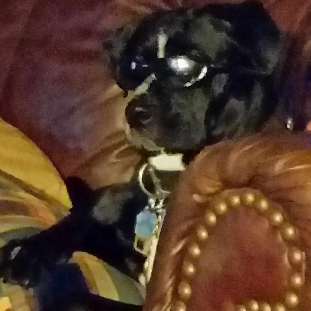 Bama