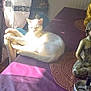 cat, white_cat, sunlight, table, tablecloth, indoor, statue, decor, purple, curtain, window, relaxing, pet, sunbeam, feline, home, quiet, resting, cozy, morning_light