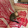Azuki participe au concours pour gagner de l'argent avec cette photo : cat, tabby_cat, couch, furniture, blanket, pattern, red, beige, indoor, pet, resting, game_controller, table, cozy, animal, living_room, relaxed, striped, paw, tail