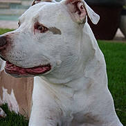 Macey May Flinn is registered to the contest to win money with this photo: