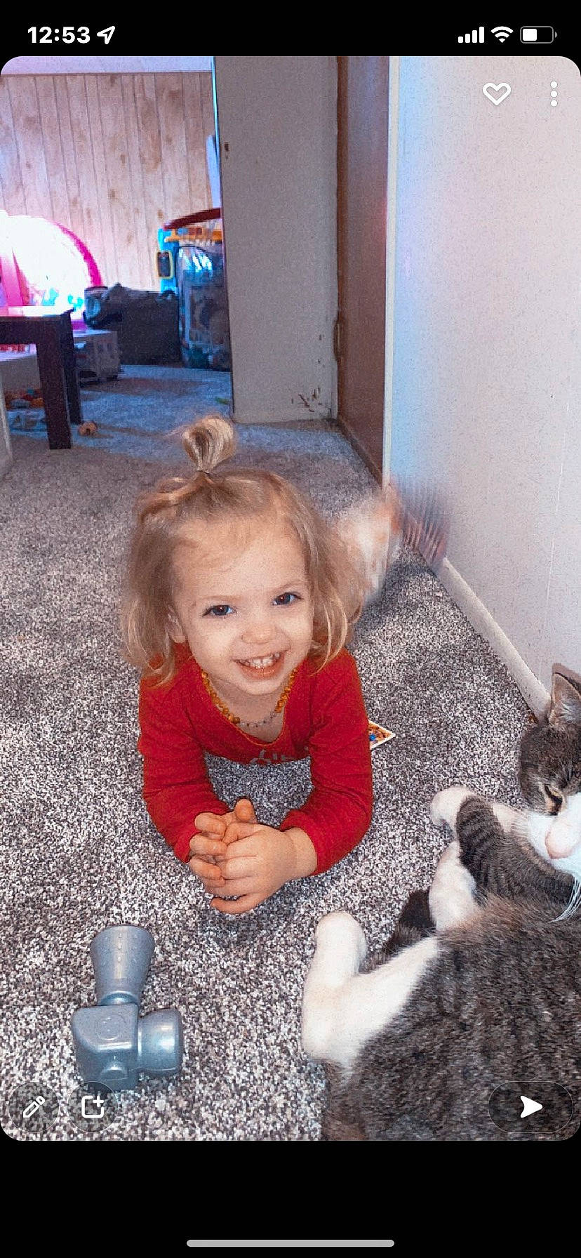 Nayvie joined the competition — help win amazing prizes! baby_toddler_clothing, blue, carnivore, cat, child, companion_dog, face, felidae, flooring, hairstyle, happy, joy, mammal, person, photograph, sitting, small_to_medium_sized_cats, smile, snapshot, toddler