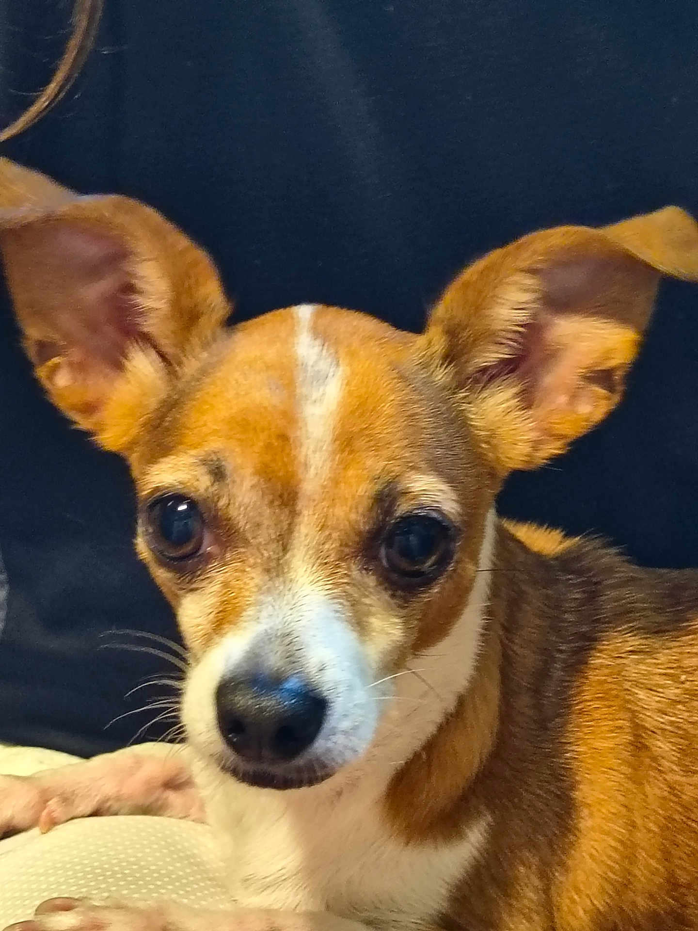 Abby