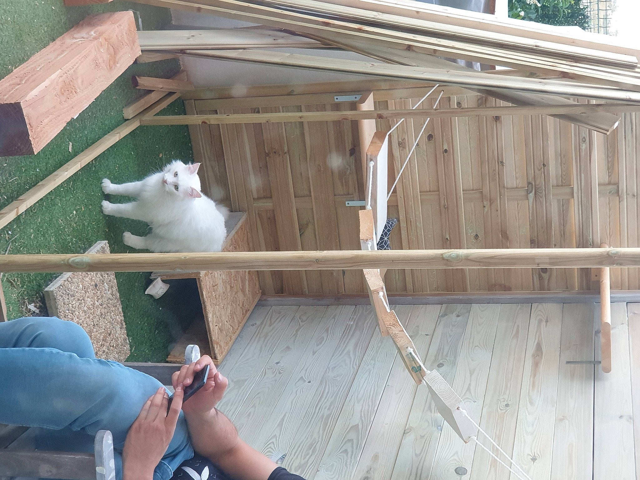 Mécano a rejoint le concours — aidez-le/la à gagner de superbes lots ! comfort, deck, foot, grass, hardwood, human_leg, lumber, outdoor_furniture, outdoor_structure, plank, plywood, roof, room, sandal, siding, small_to_medium_sized_cats, thigh, tree, wood, wood_stain