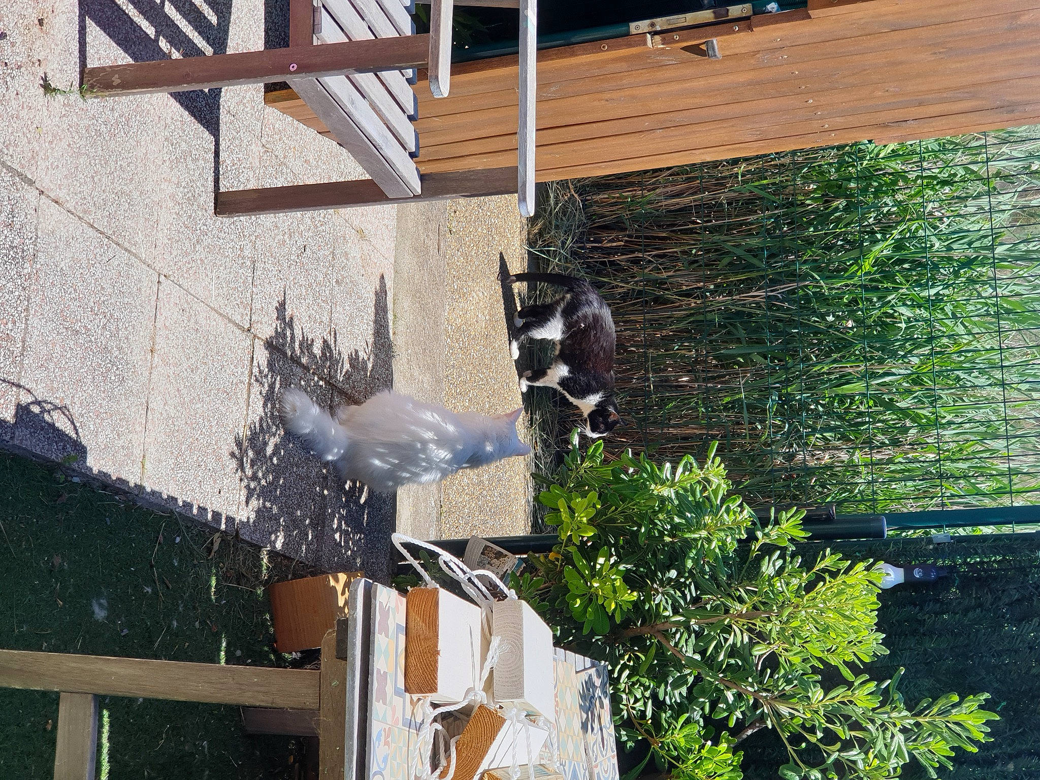 Mécano participe au concours pour gagner de l'argent avec cette photo : backyard, building, daylighting, facade, hardwood, house, plant, roof, sash_window, shade, shadow, siding, tail, tints_and_shades, tree, urban_design, window, wood, yard