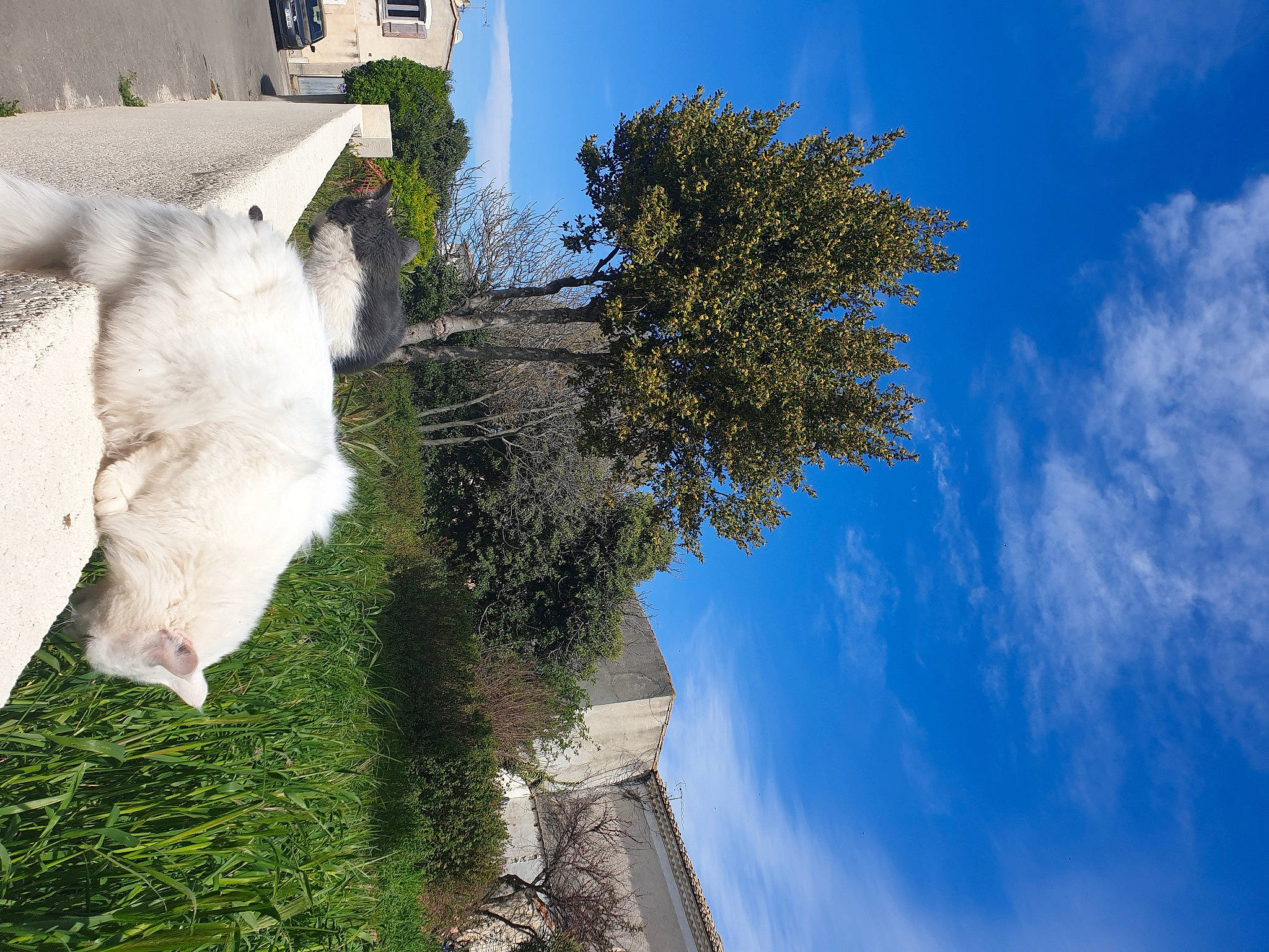 Mécano participe au concours pour gagner de l'argent avec cette photo : art, building, cloud, cumulus, facade, house, landscape, meteorological_phenomenon, natural_landscape, plant, pole, sculpture, shrub, sky, slope, tree, urban_design, water, window, world