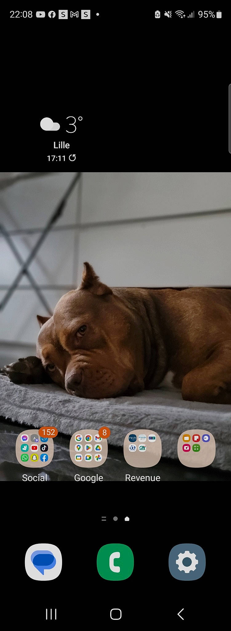 Raya participe au concours pour gagner de l'argent avec cette photo : canidae, carnivore, companion_dog, dog, dog_breed, fawn, felidae, font, fur, liver, logo, non_sporting_group, paw, photo_caption, screenshot, snout, terrestrial_animal, whiskers, wildlife, wrinkle