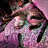 Hades joined the competition — help win amazing prizes! cat, sleeping, upside_down, bed, floral_pattern, pink_light, cozy, indoor, feline, relaxed, stretching, tail, paws, blanket, clutter, shelf, books, room, soft_light, domestic
