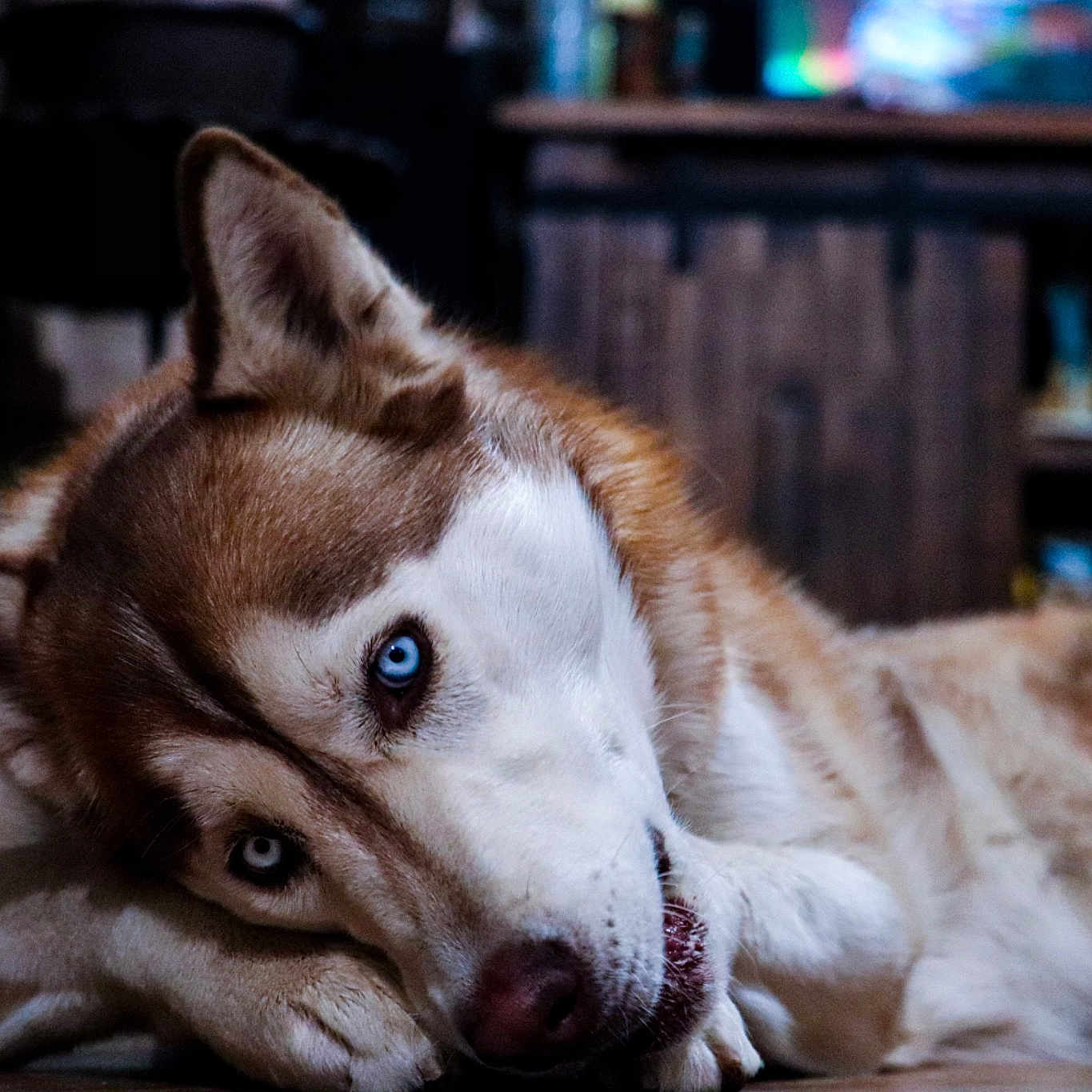 Miska