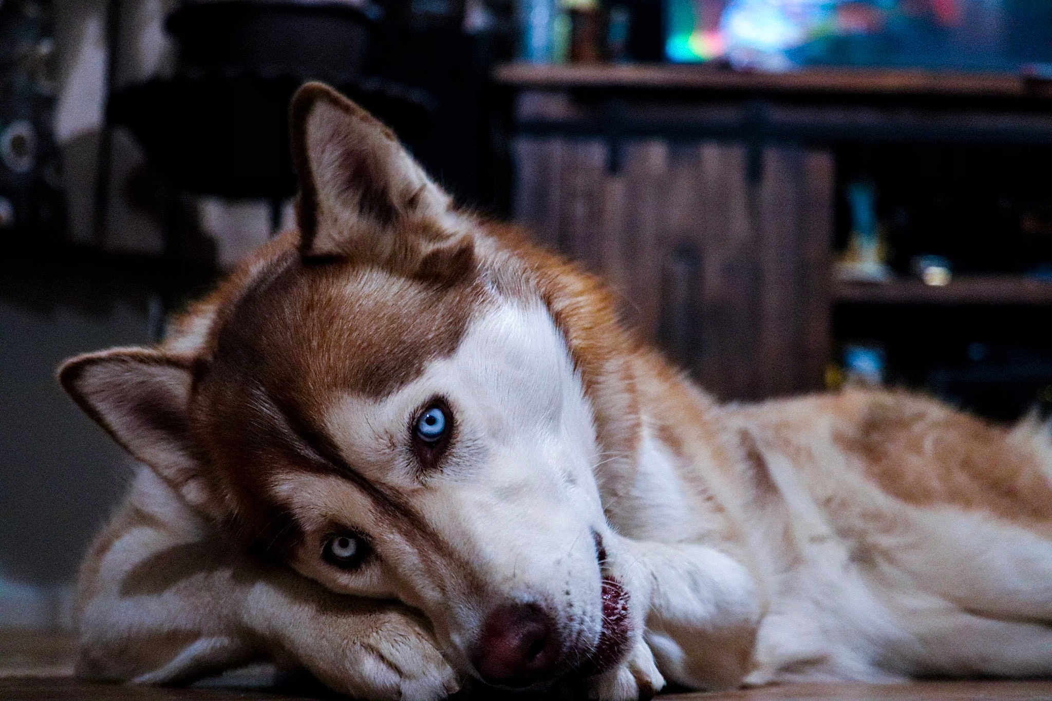 Miska