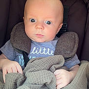 Ledger is registered to the contest to win money with this photo: baby, blanket, car_seat, child, clothing, face, hands, infant, person, portrait, sitting, straps, toddler, wide_eyes, young_child, cute, indoor, soft_texture, expression, safety