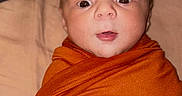 Ledger is registered to the contest to win money with this photo: baby, infant, swaddle, orange_cloth, face, wide_eyes, curious, portrait, close_up, head, skin, newborn, wrapped, cozy, expression, indoor, person, child, sleepwear, blanket