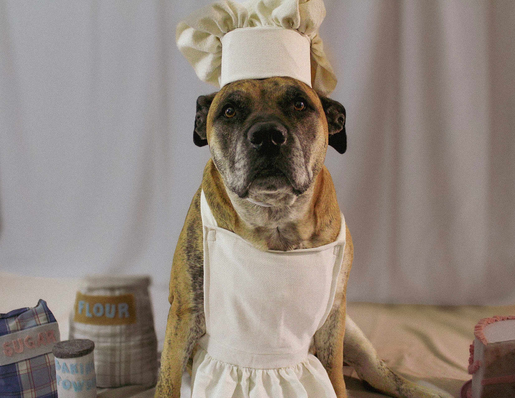 Winifred