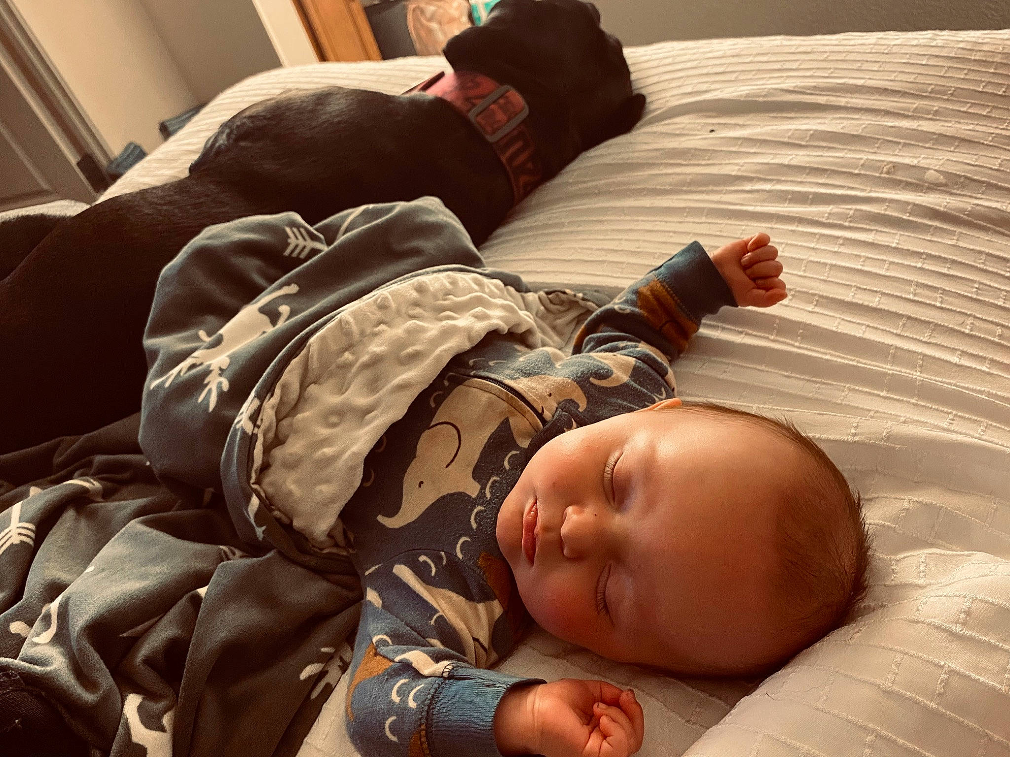 Winston is registered to the contest to win money with this photo: arm, baby, baby_sleeping, baby_toddler_clothing, bedtime, camouflage, child, comfort, duvet, flooring, gesture, hand, human_body, linens, military_camouflage, nap, person, room, sleep, toddler