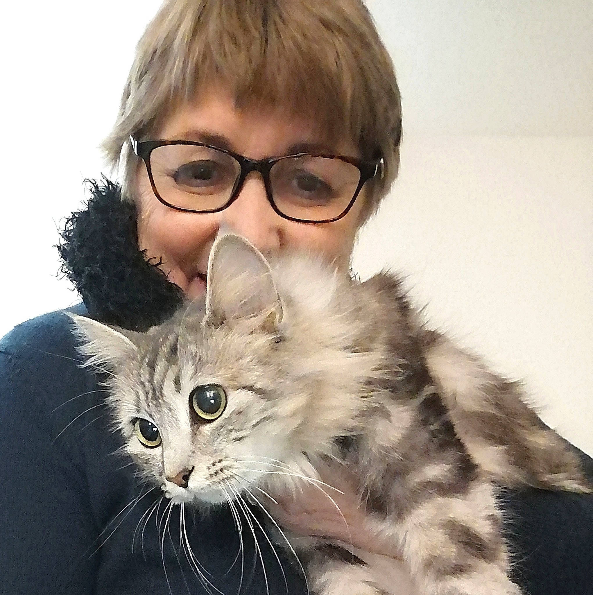 Samy participe au concours pour gagner de l'argent avec cette photo : british_longhair, carnivore, cat, claw, domestic_short_haired_cat, ear, eyewear, felidae, fur, gesture, glasses, happy, nose, paw, selfie, small_to_medium_sized_cats, snout, tail, vision_care, whiskers