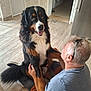 Vaïko participe au concours pour gagner de l'argent avec cette photo : dog, bernese_mountain_dog, man, indoor, floor, happy, pet, affection, sitting, holding, paw, casual_clothing, laundry_room, appliance, tile_floor, home, interaction, companion, fur, tongue_out