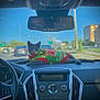 cat, dashboard, car_interior, sweater, christmas_sweater, gray_cat, festive, pom_poms, reindeer_design, traffic, blue_sky, rearview_mirror, steering_wheel, vehicle, road, daytime, urban, street, holiday, pet