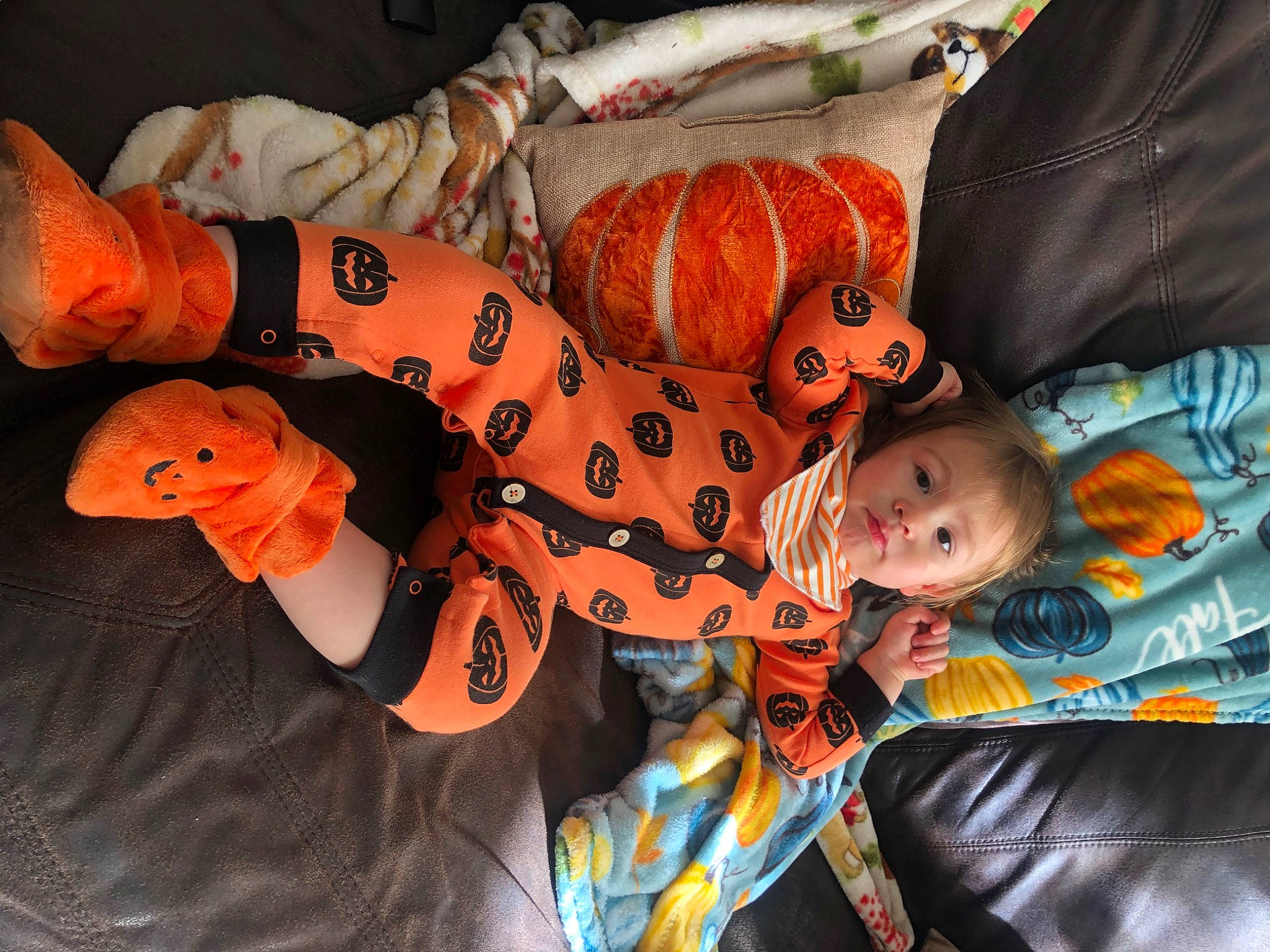Emin joined the competition — help win amazing prizes! baby, baby_toddler_clothing, big_cats, calabaza, child, comfort, costume, event, flesh, fun, fur, hat, mouth, orange, pattern, person, plush, stuffed_toy, tiger, toddler