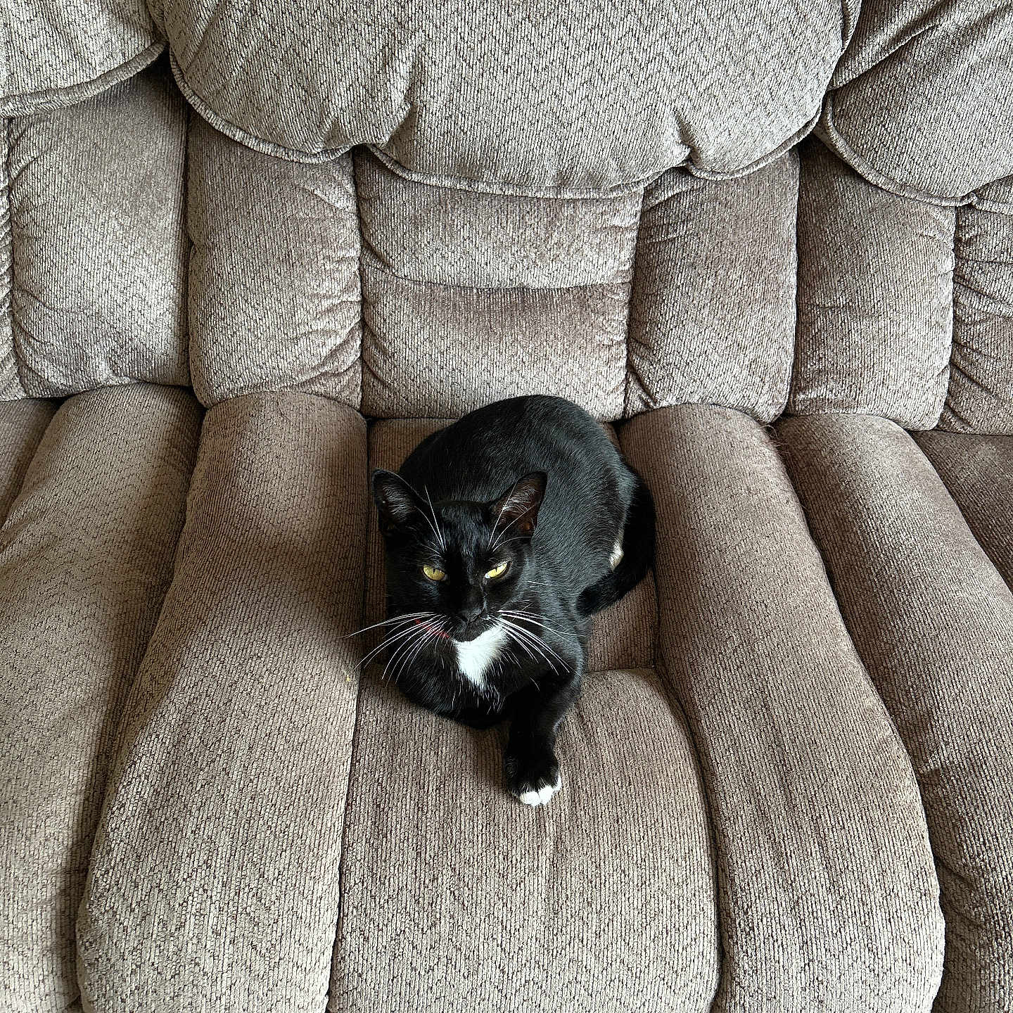 Lucy