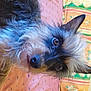 Sydonie participe au concours pour gagner de l'argent avec cette photo :