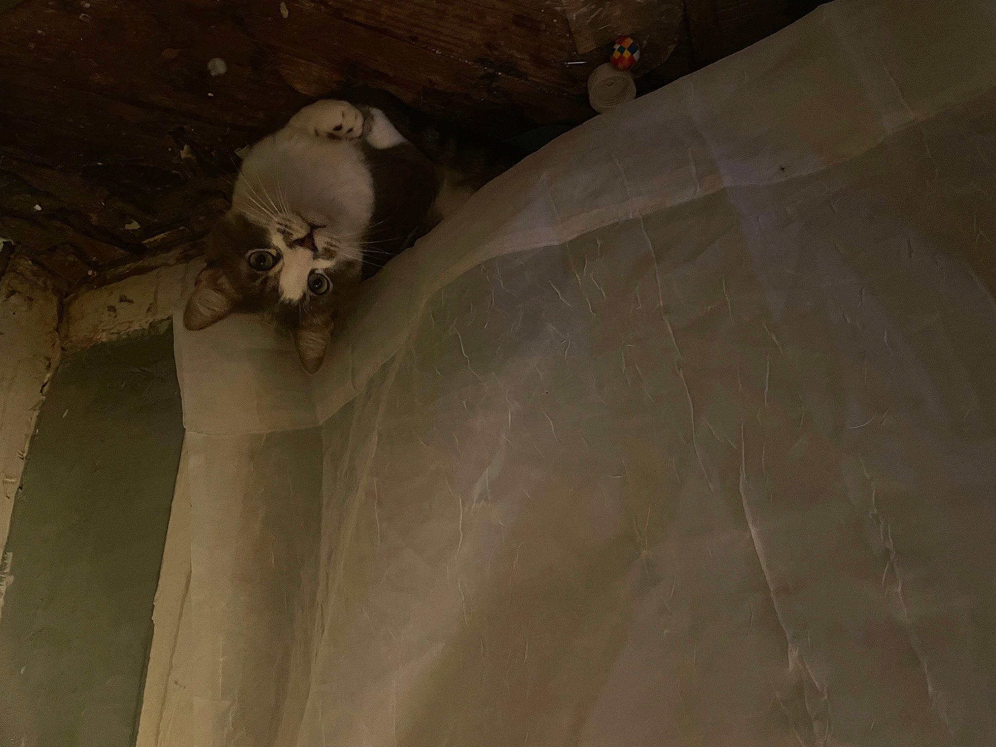 Slash is registered to the contest to win money with this photo: asphalt, beam, ceiling, cement, concrete, flooring, grey, hardwood, landscape, pipe, plaster, recreation, room, sand, shadow, slope, soil, sports_equipment, tints_and_shades, wood