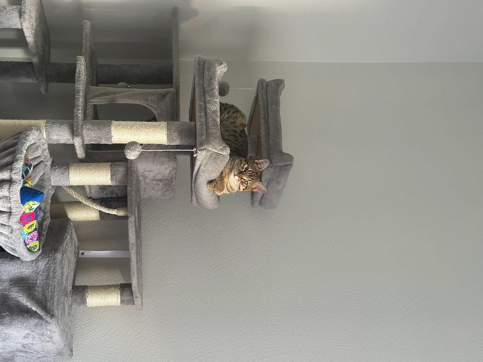 Yellow a rejoint le concours — aidez-le/la à gagner de superbes lots ! art, auto_part, automotive_design, carmine, gas, grey, machine, metal, room, shelf, visual_arts, wood