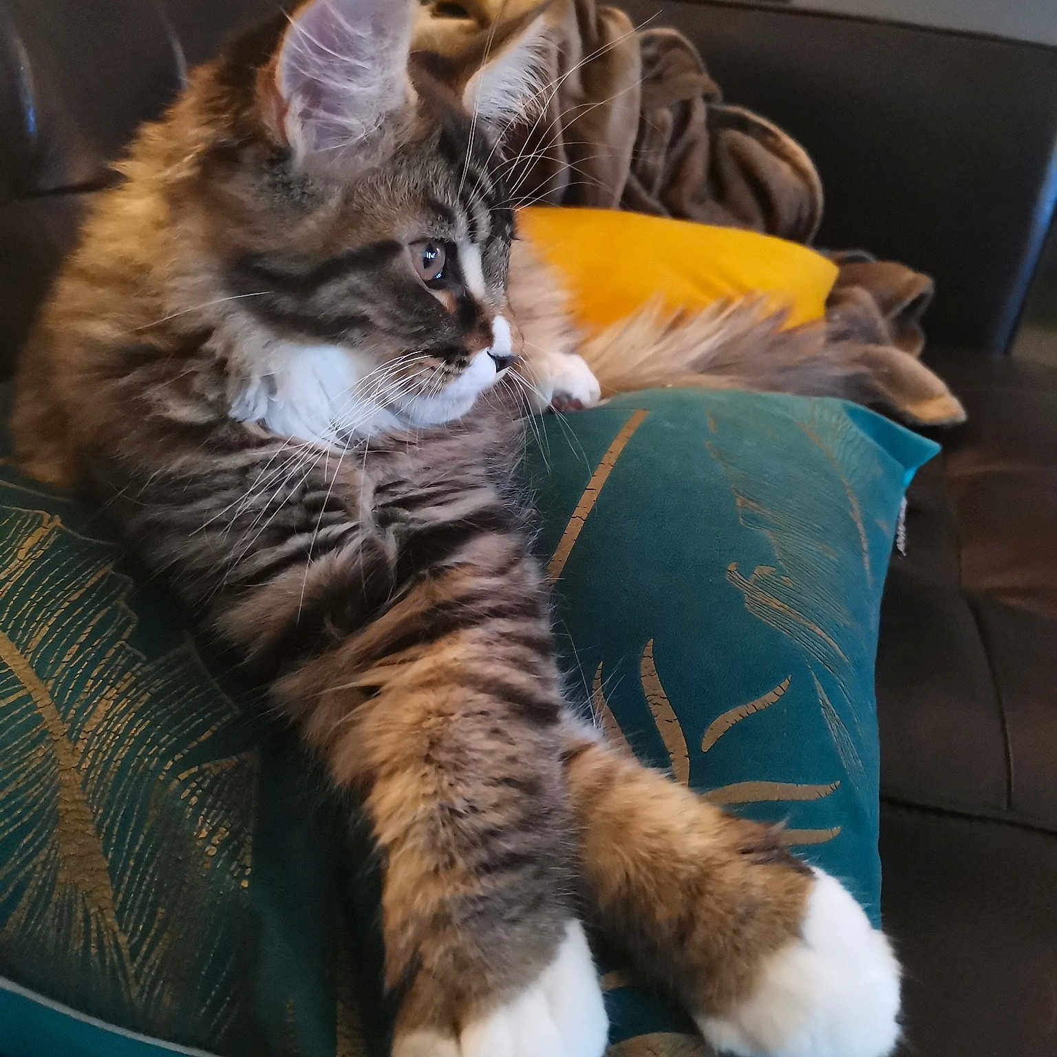 Rajah