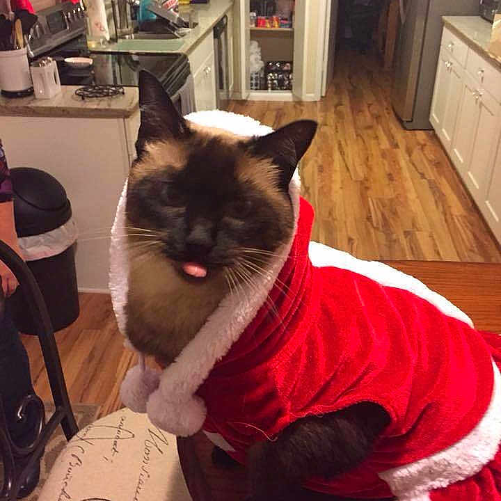 Daisy is registered to the contest to win money with this photo: