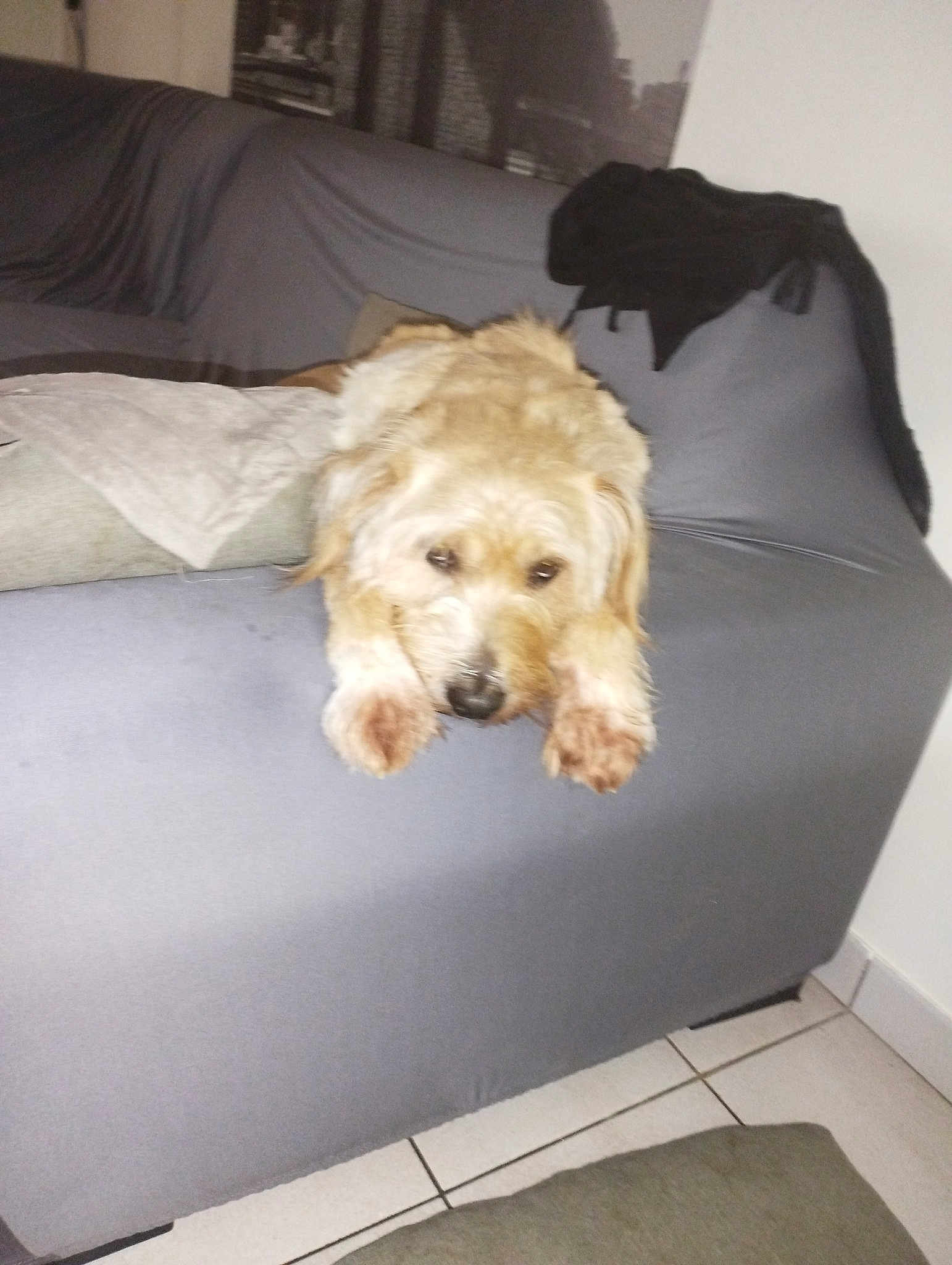 Charly
