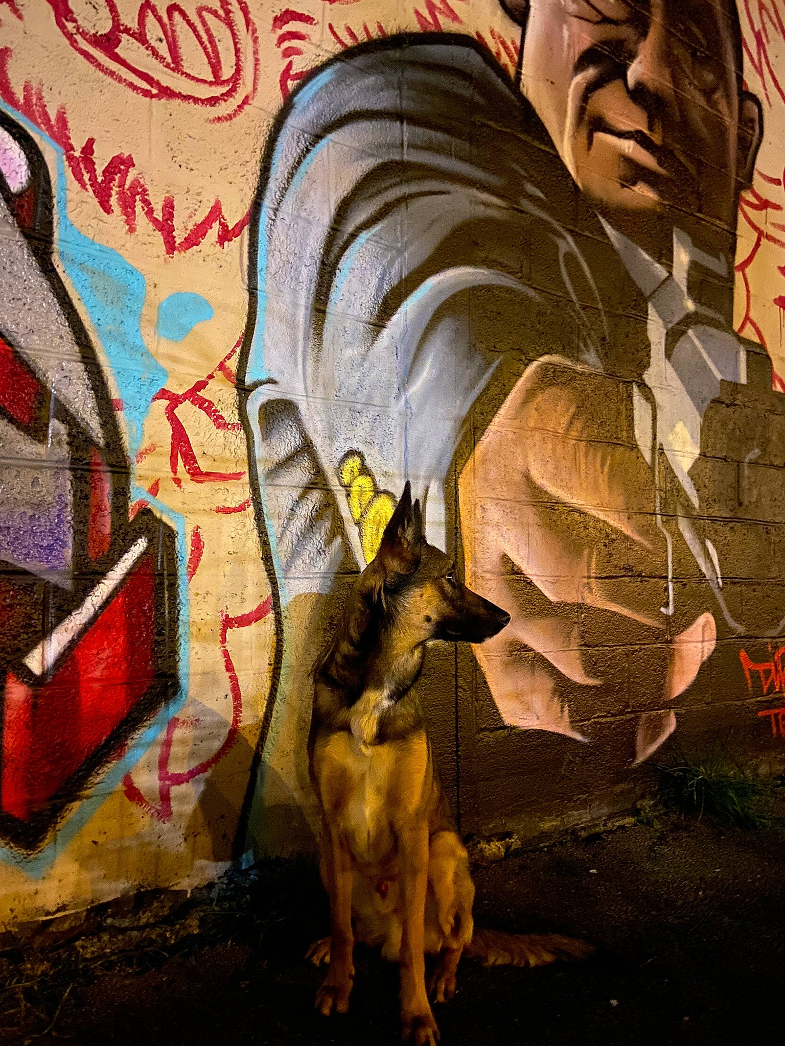 Taïco a rejoint le concours — aidez-le/la à gagner de superbes lots ! art, cg_artwork, darkness, drawing, fiction, fictional_character, font, graffiti, graphic_design, graphics, illustration, mural, paint, painting, street_art, tail, tints_and_shades, vertebrate, visual_arts, wall