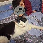 Meowmeow is registered to the contest to win money with this photo: child, cat, stuffed_animal, carpet, floor, indoor, sleeping, resting, black_and_white_cat, toy, clothing, blue_jacket, red_pants, road_pattern, parking_lot, quiet, calm, companion, peaceful, home