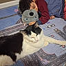 child, cat, stuffed_animal, carpet, floor, indoor, sleeping, resting, black_and_white_cat, toy, clothing, blue_jacket, red_pants, road_pattern, parking_lot, quiet, calm, companion, peaceful, home